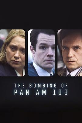 天美视频《泛美航空103航班爆炸案 The Bombing of Pan Am 103》免费在线观看