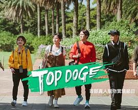 天美传媒《TOP DOG》免费在线观看