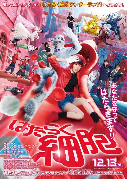 天涯社区官网《工作细胞 真人版 はたらく細胞》免费在线观看