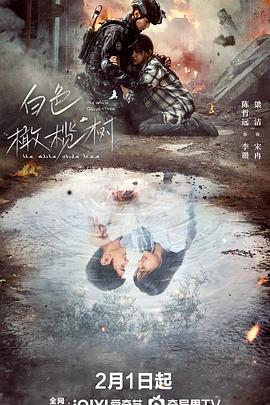 天美视频《白色橄榄树》免费在线观看