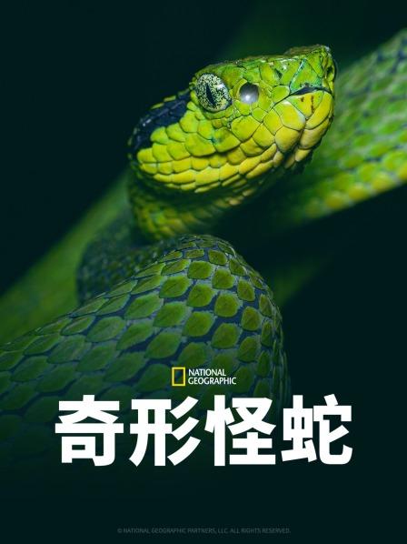 天美视频《奇形怪蛇》免费在线观看